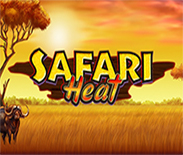 Safari Heat